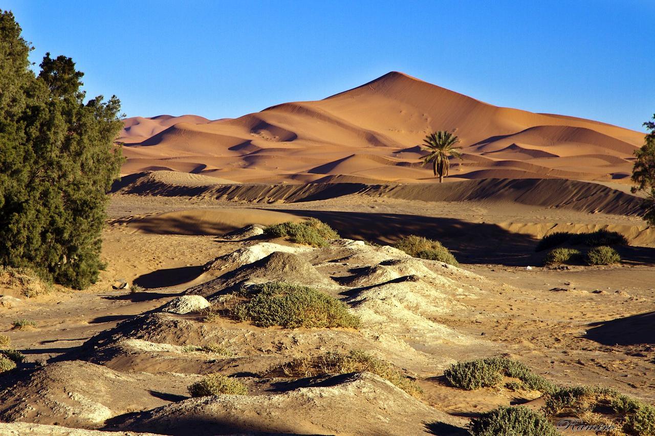 Riadsuerteloca Merzouga Hassilabied 외부 사진 The Sahara Desert